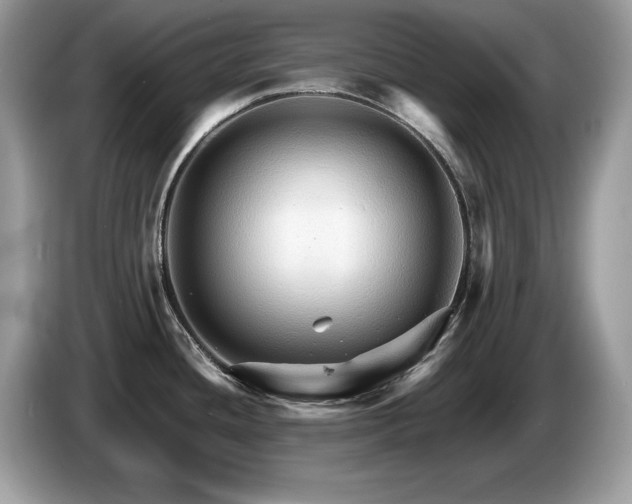 X0000087521436200704271132