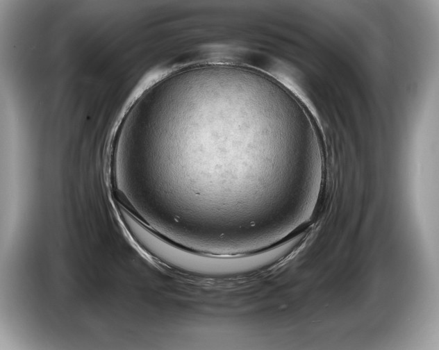 X0000087521437200704271132