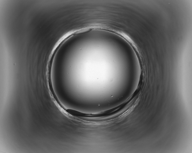 X0000087521438200704271132