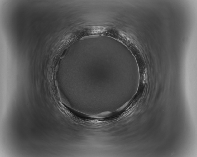 X0000087521441200704271132