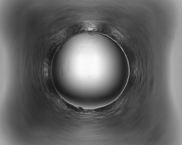 X0000087521442200704271132