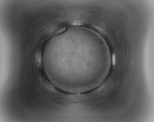 X0000087521444200704271132