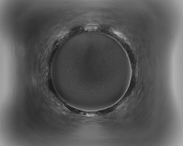 X0000087521445200704271132