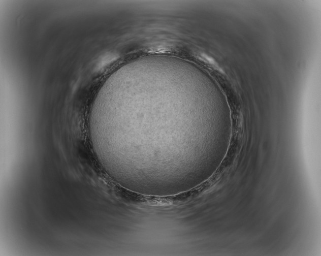 X0000087521446200704271132
