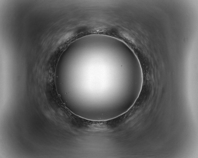 X0000087521447200704271132