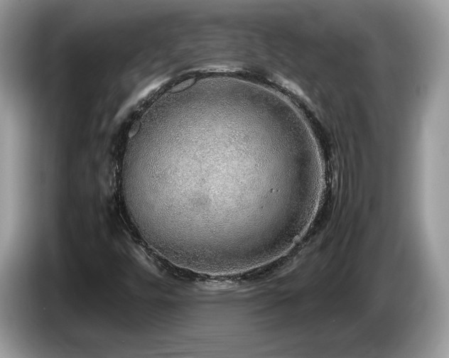 X0000087521448200704271132
