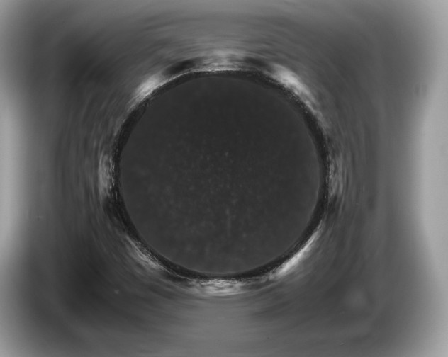 X0000087521449200704271132