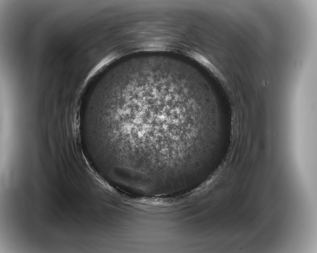 X0000087521450200704271132