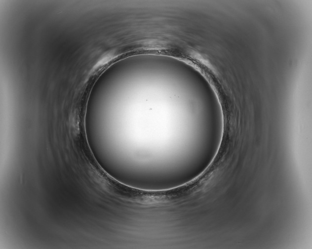 X0000087521451200704271132