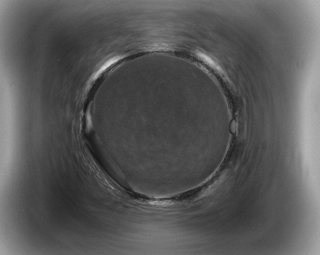 X0000087521453200704271132