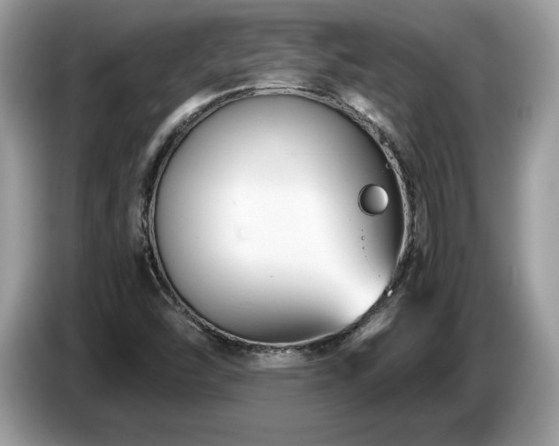X0000087521454200704271132