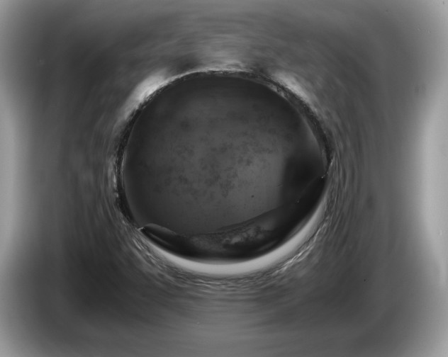 X0000087521455200704271132