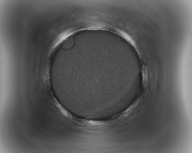 X0000087521456200704271132