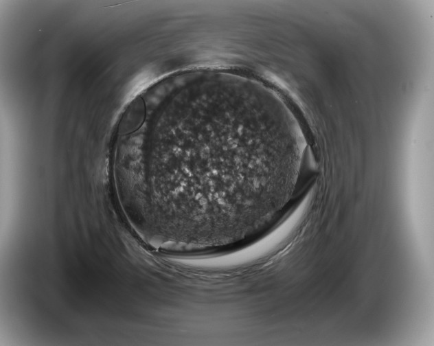X0000087521459200704271132