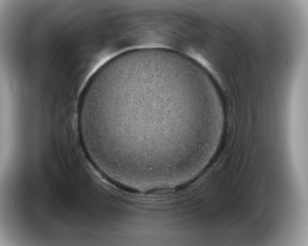 X0000087521460200704271132