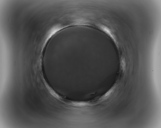 X0000087521463200704271132