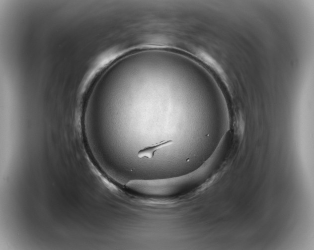 X0000087521464200704271132
