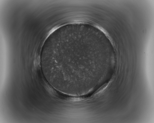 X0000087521465200704271132