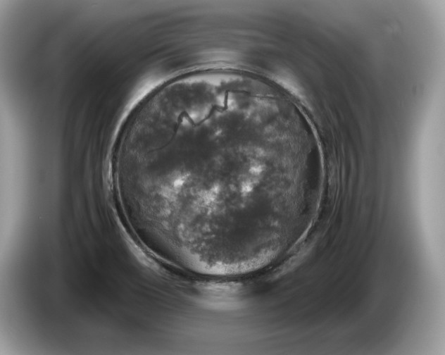 X0000087521466200704271132