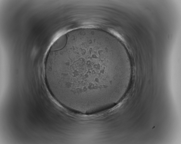 X0000087521467200704271132