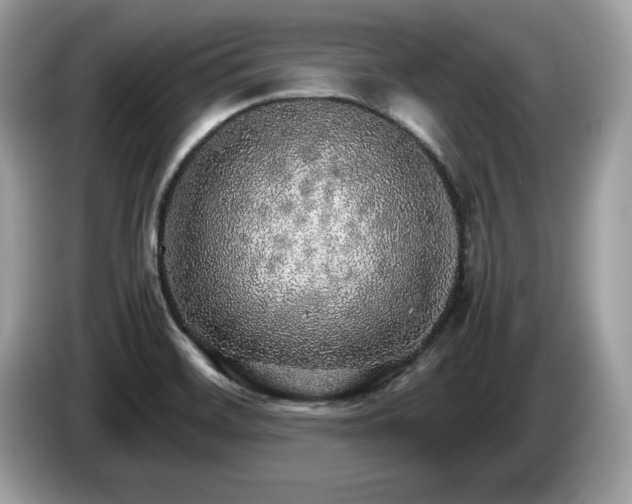 X0000087521468200704271132