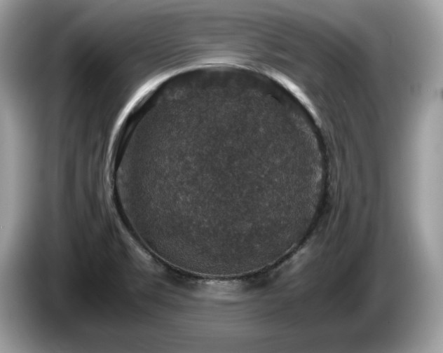 X0000087521469200704271132