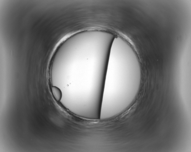 X0000087521471200704271132