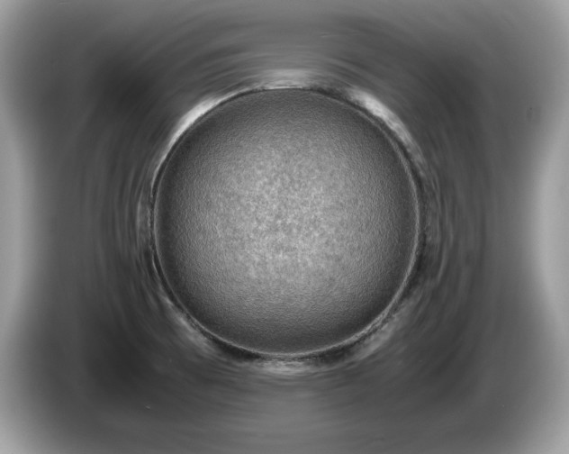 X0000087521473200704271132