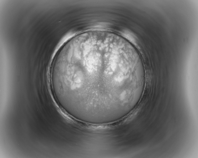 X0000087521474200704271132