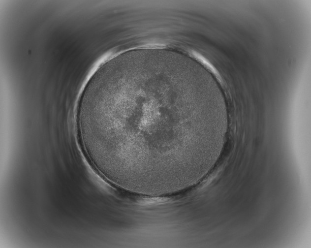 X0000087521475200704271131