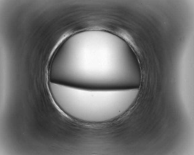 X0000087521476200704271131