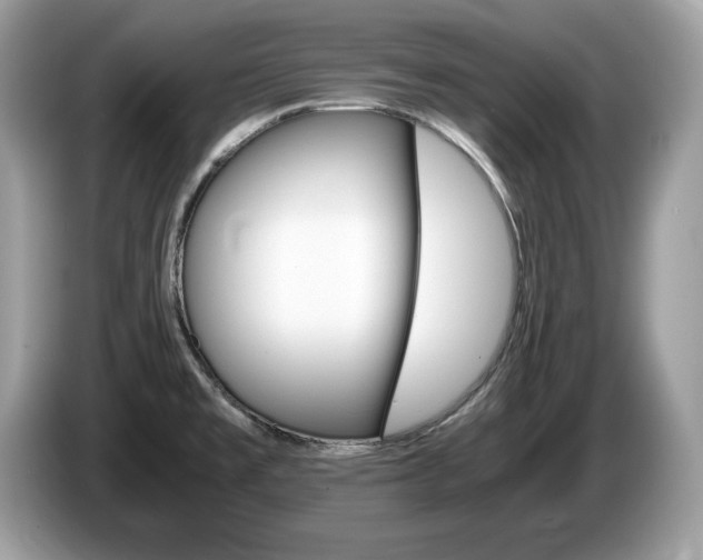 X0000087521477200704271131