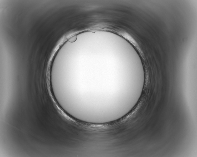 X0000087521478200704271131