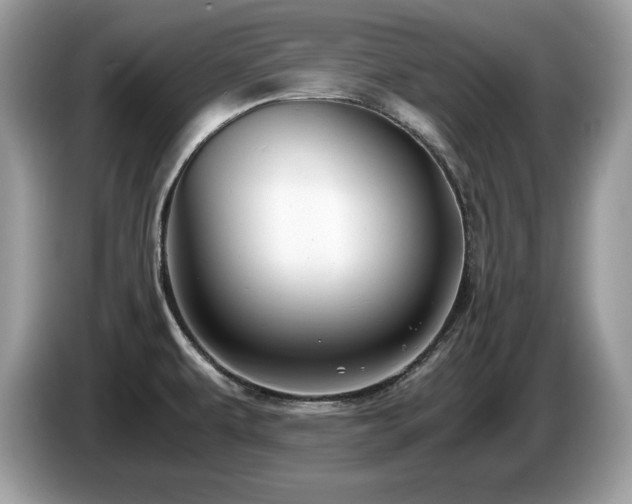 X0000087521479200704271131