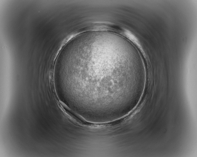 X0000087521481200704271131