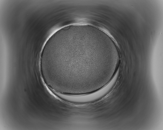 X0000087521484200704271131
