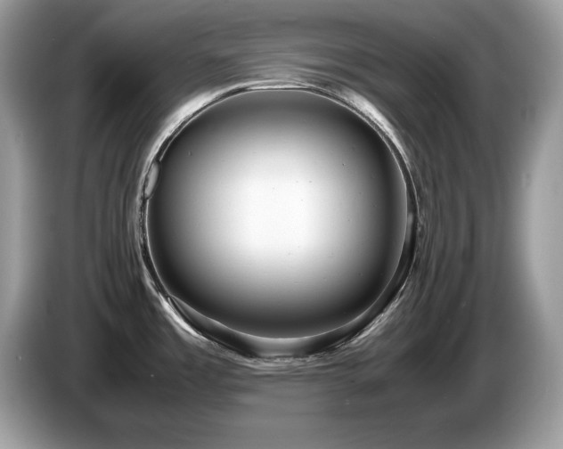X0000087521485200704271131
