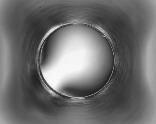 X0000087521486200704271131