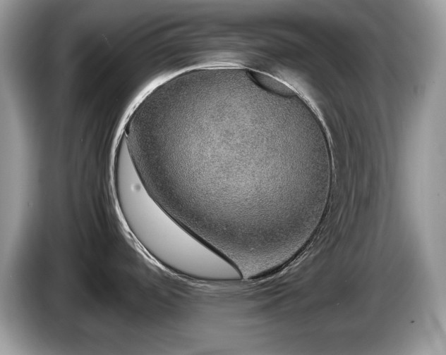 X0000087521488200704271131