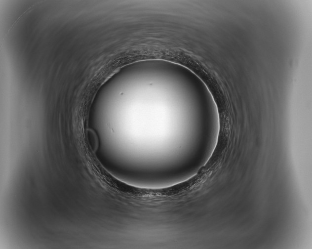 X0000087521489200704271131
