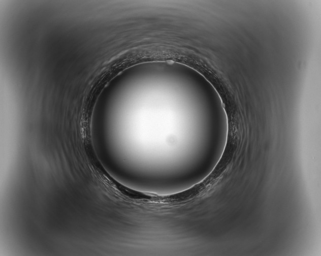 X0000087521490200704271131