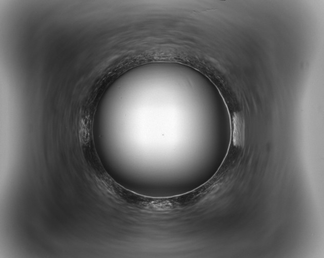 X0000087521491200704271131