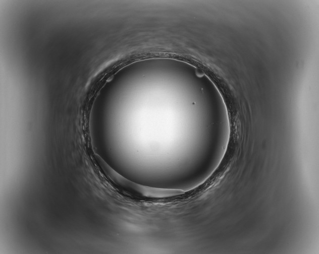 X0000087521494200704271131