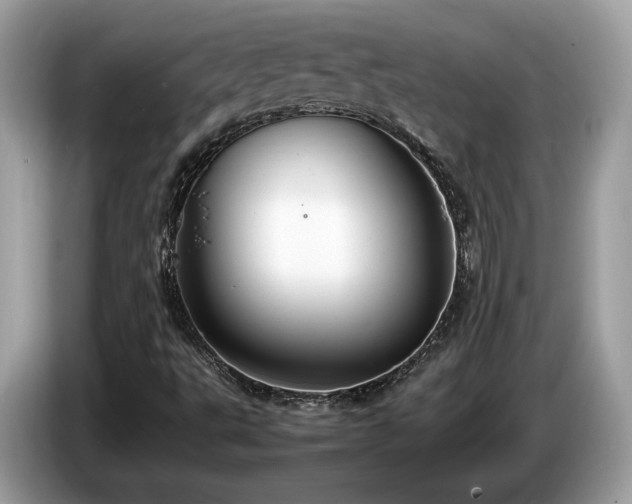 X0000087521495200704271131