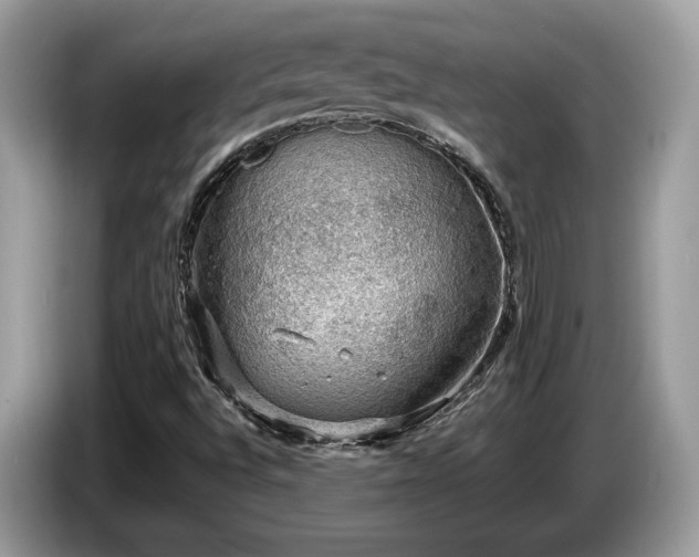 X0000087521496200704271131