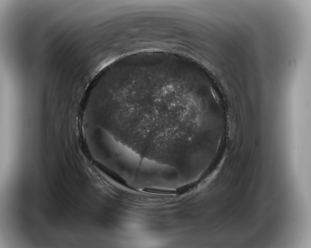 X0000087521497200704271131