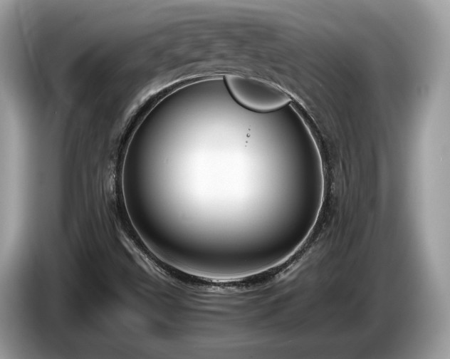 X0000087521499200704271131