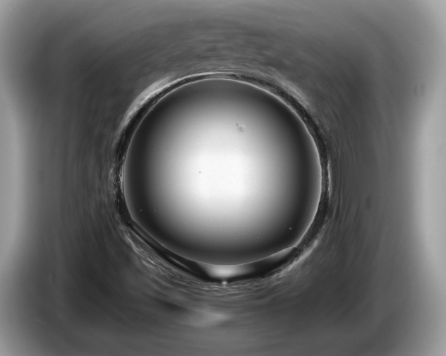 X0000087521501200704271131