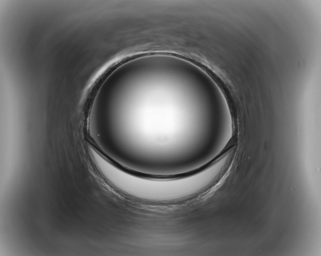 X0000087521502200704271131