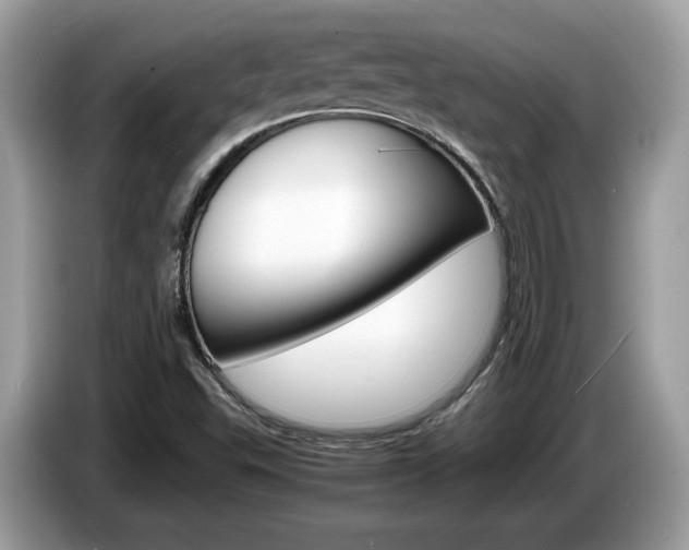 X0000087521503200704271131